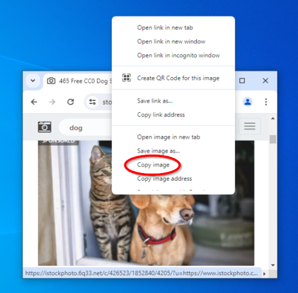 File:Right click copy image.png